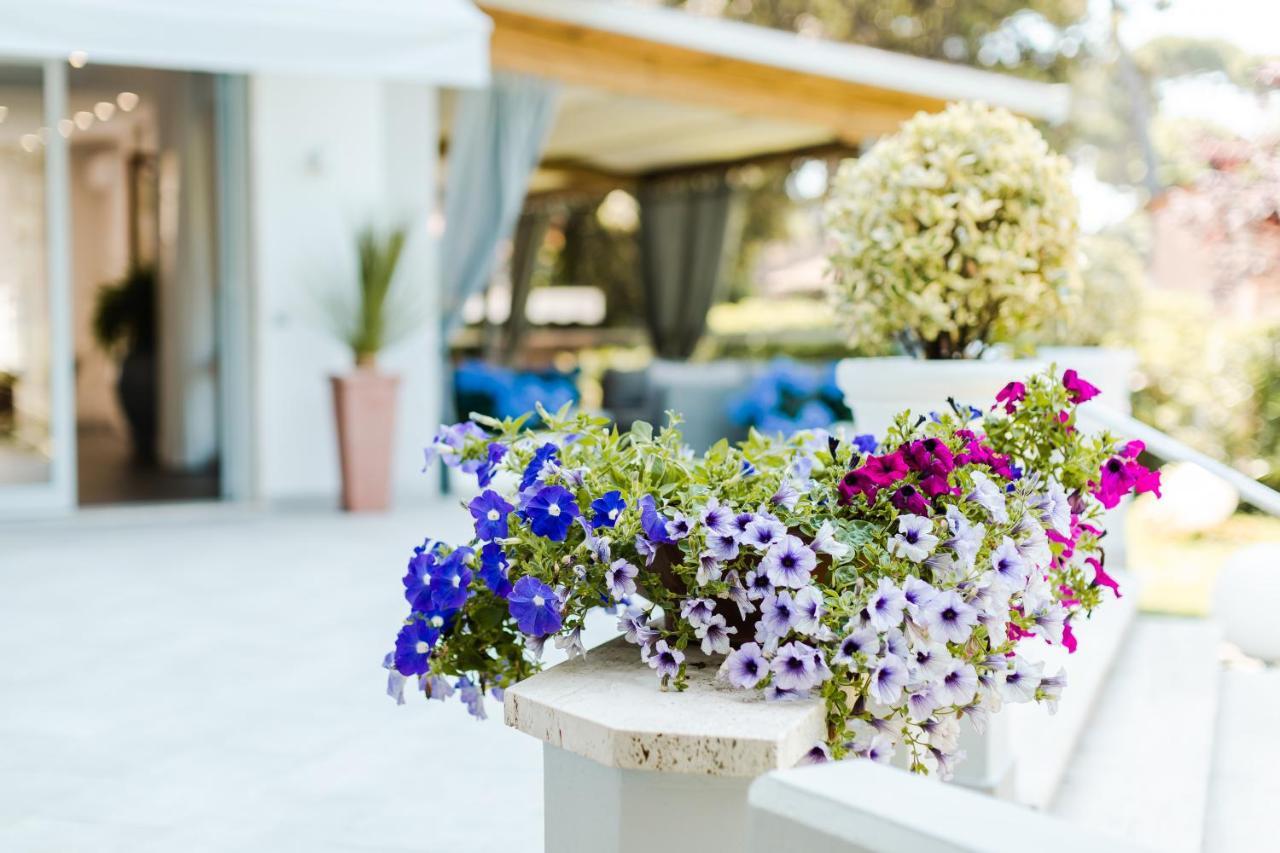 Park Hotel Giusy Lido di Camaiore Eksteriør billede