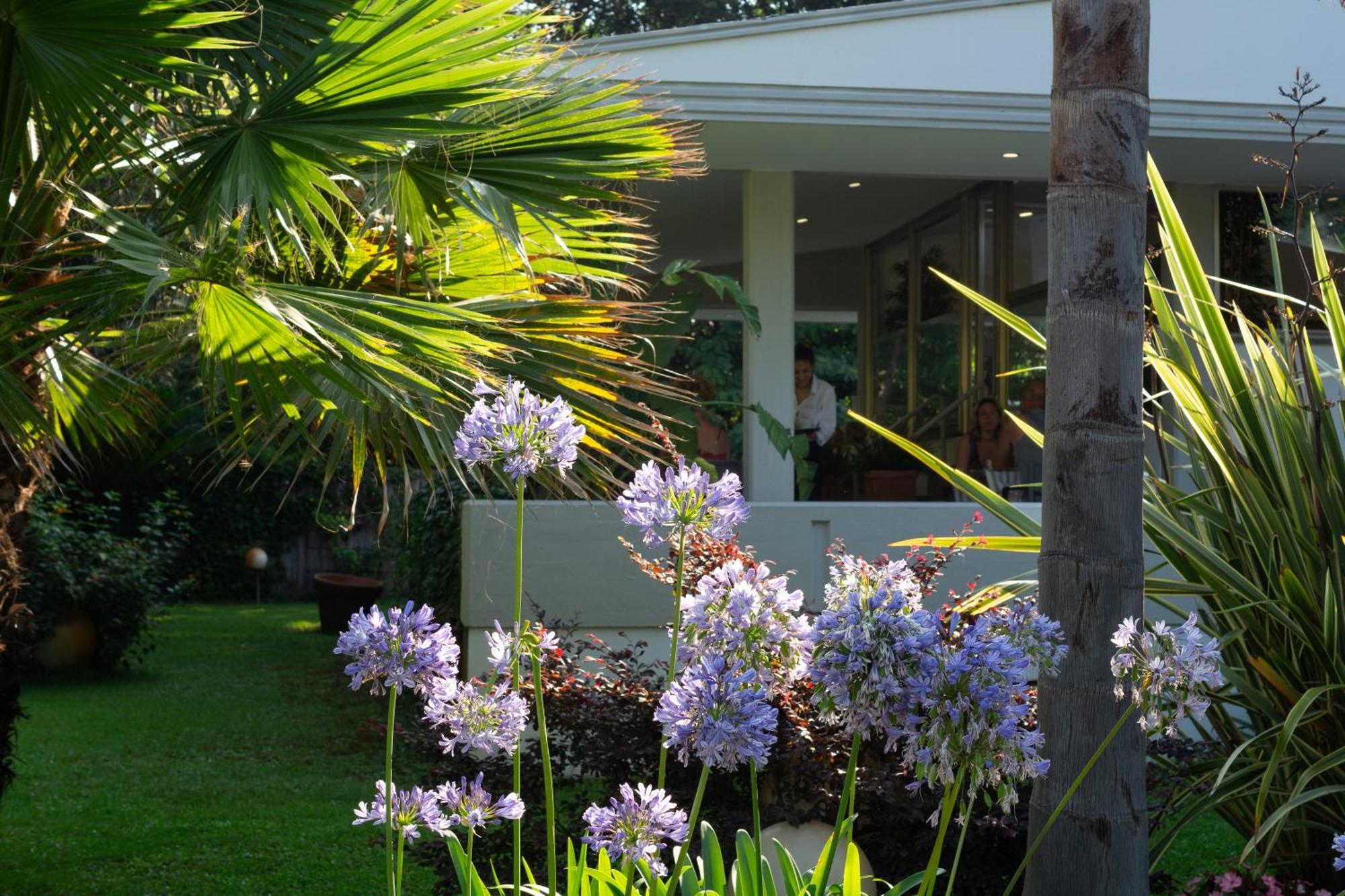Park Hotel Giusy Lido di Camaiore Eksteriør billede